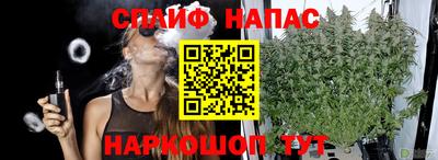 apvp Краснодар