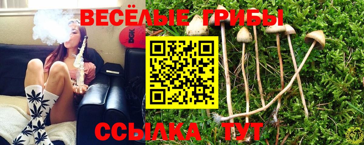 Галлюциногенные грибы мухоморы  Вход с VPN  Гагарин 